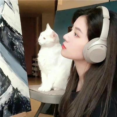 黑影窥窗