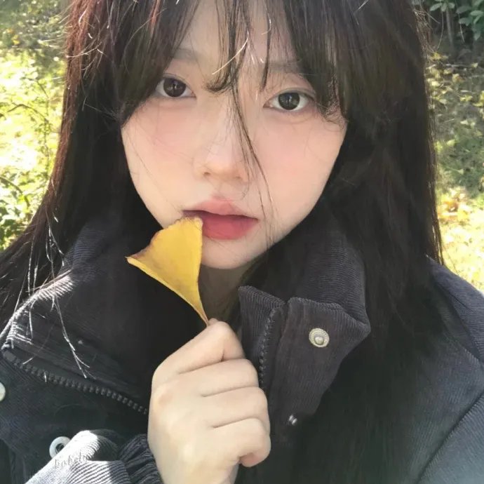 南极大冒险